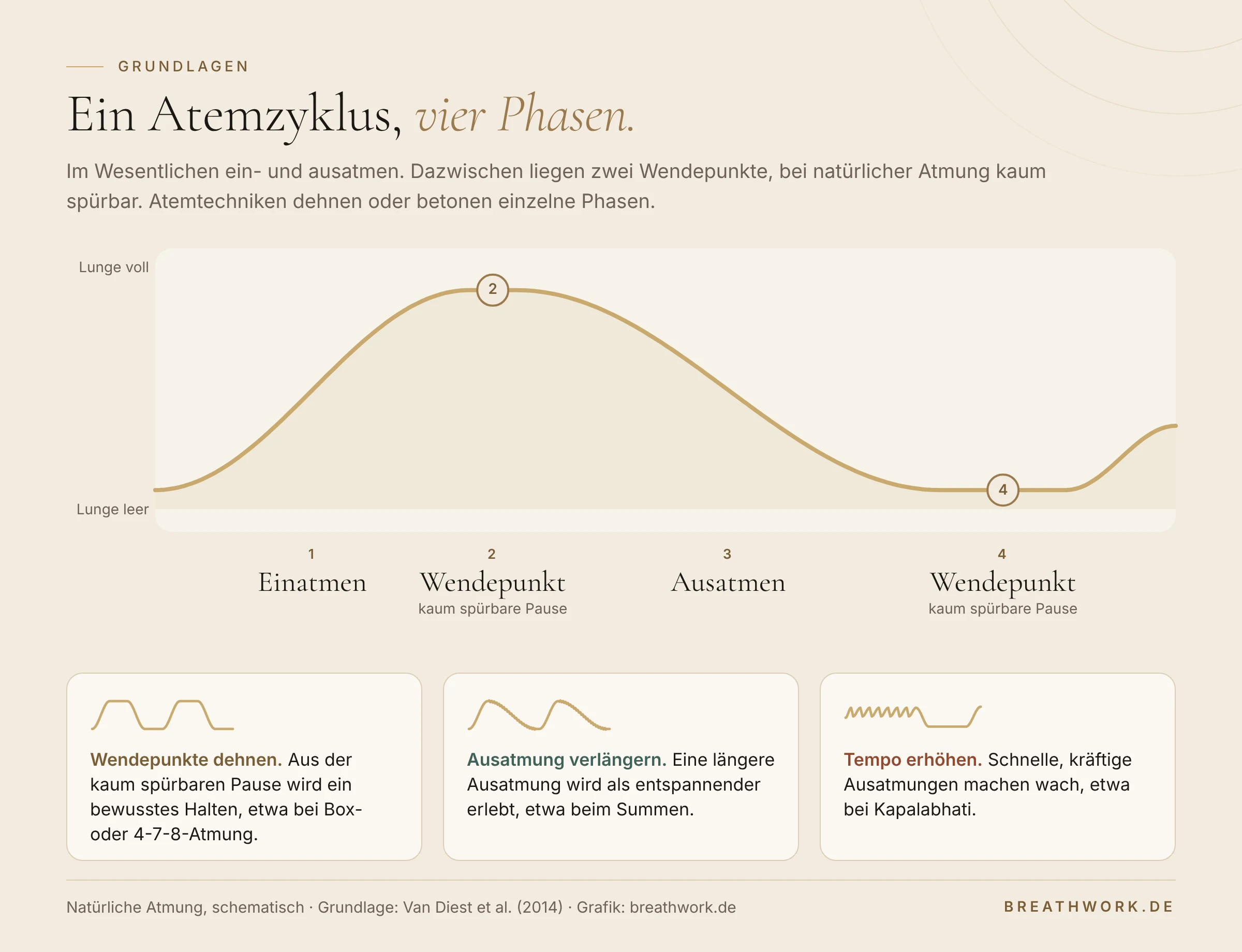 Atemlinie eines natürlichen Atemzugs mit vier Phasen: Einatmen, Wendepunkt oben, Ausatmen, Wendepunkt unten. An den Wendepunkten entsteht nur eine kaum spürbare Pause. Darunter drei Stellschrauben: Wendepunkte dehnen (Box- und 4-7-8-Atmung), Ausatmung verlängern (Summen), Tempo erhöhen (Kapalabhati).