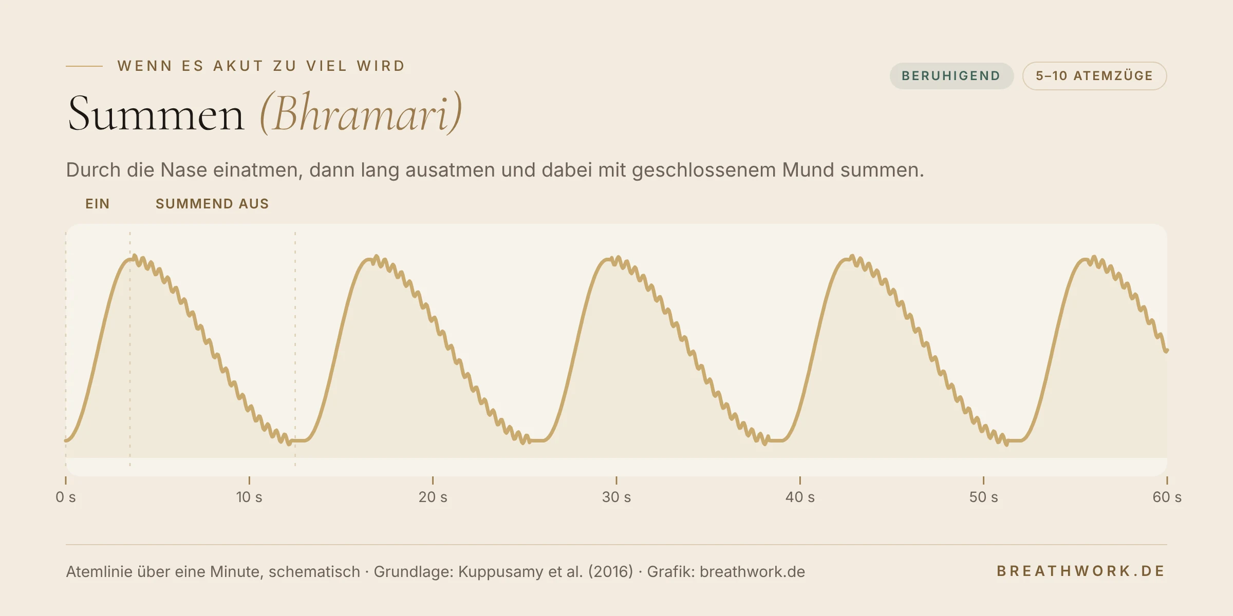 Atemlinie über eine Minute: ruhige Einatmung durch die Nase, danach eine lange, gesummte Ausatmung mit leichter Vibration. Beruhigend, 5 bis 10 Atemzüge.