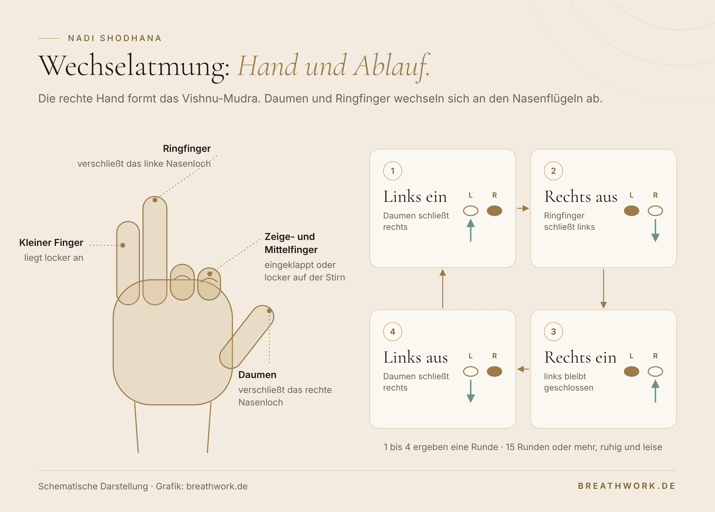 Links eine schematische rechte Hand im Vishnu-Mudra: Zeige- und Mittelfinger eingeklappt, der Daumen verschließt das rechte Nasenloch, der Ringfinger das linke. Rechts der Ablauf einer Runde in vier Schritten: links ein, rechts aus, rechts ein, links aus.