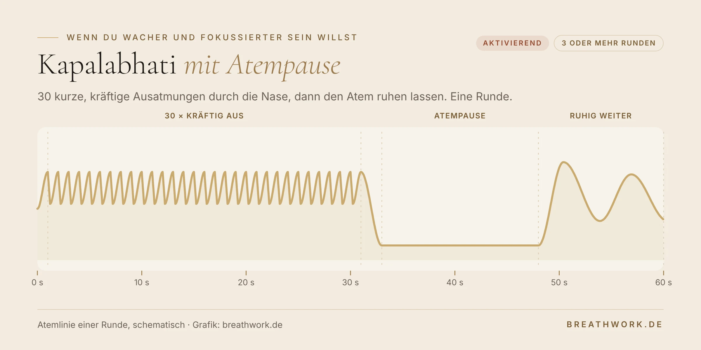 Atemlinie einer Runde Kapalabhati: 30 kurze, kräftige Ausatmungen, danach eine Atempause von etwa 15 Sekunden und ruhiges Weiteratmen. Aktivierend, drei oder mehr Runden.