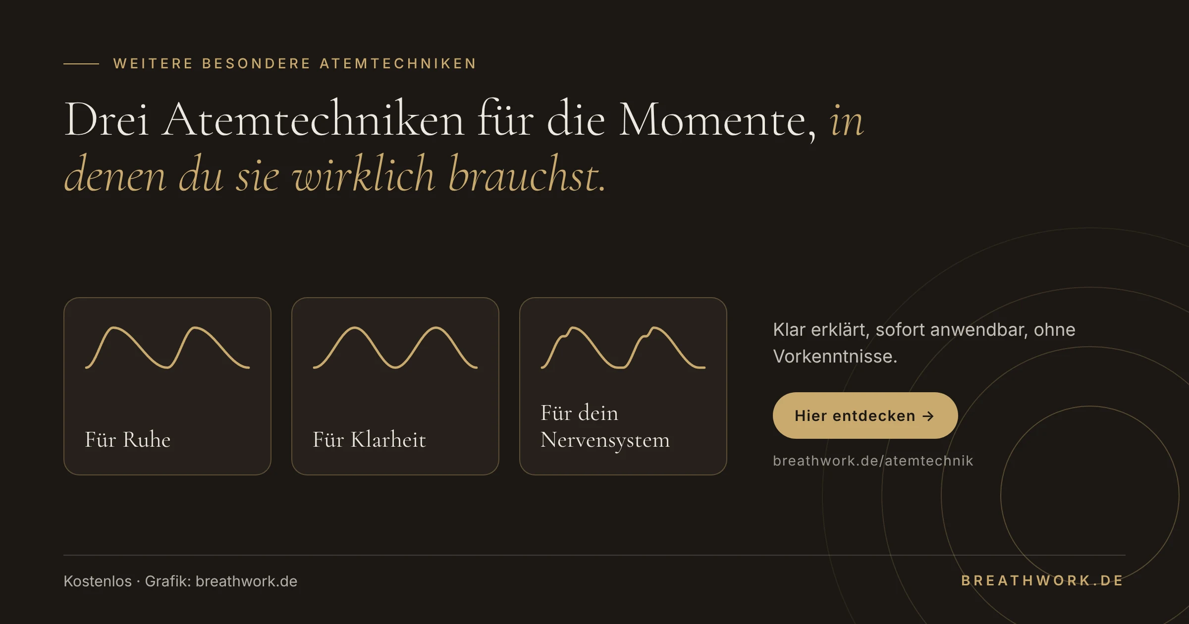 Drei Atemtechniken für die Momente, in denen du sie wirklich brauchst: für Ruhe, für Klarheit, für dein Nervensystem. Hier entdecken auf breathwork.de/atemtechnik.