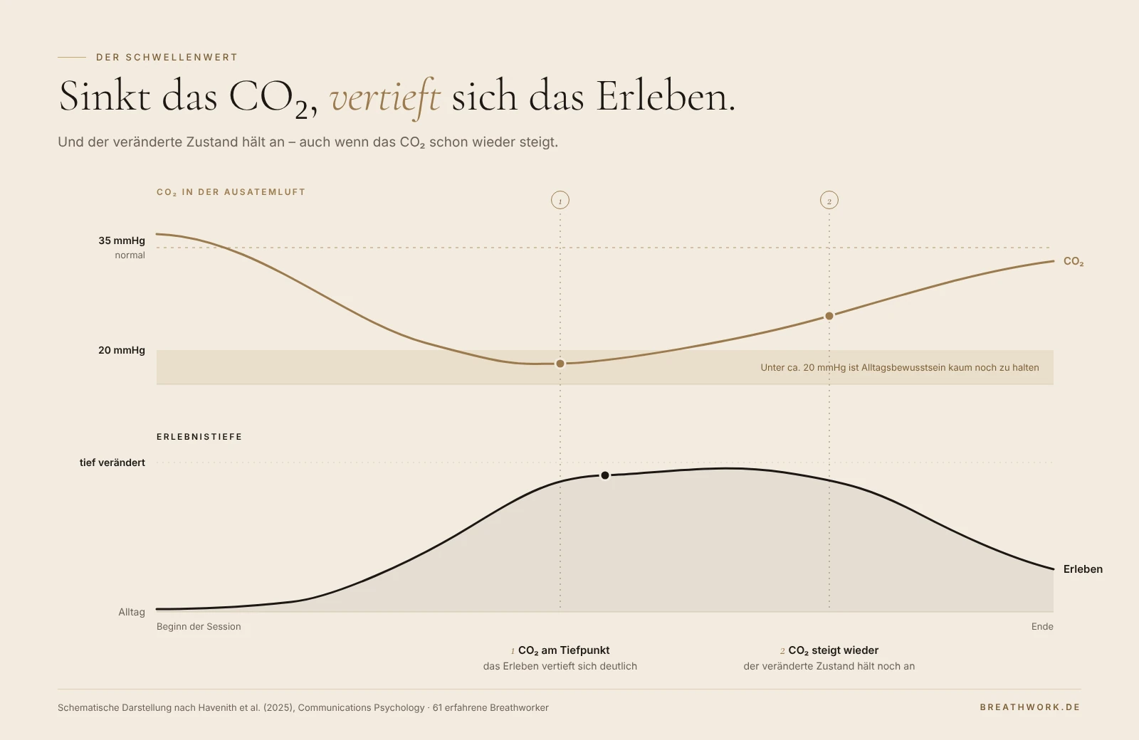 Schematische Grafik: Während einer Breathwork-Session sinkt das CO₂ und die Erlebnistiefe steigt; die Tiefe hält an, als das CO₂ wieder steigt.