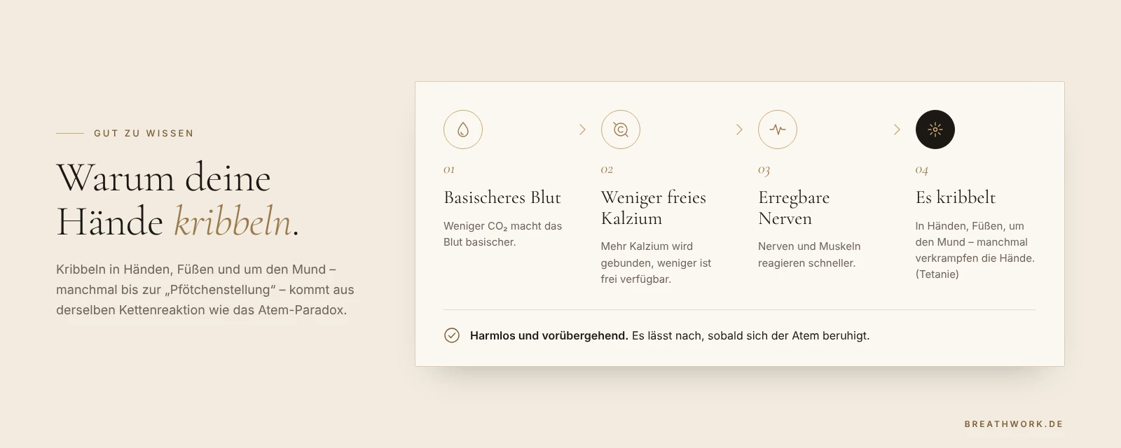 Infografik in vier Schritten: Basischeres Blut, weniger freies Kalzium und erregbarere Nerven führen zum Kribbeln in Händen, Füßen und um den Mund.